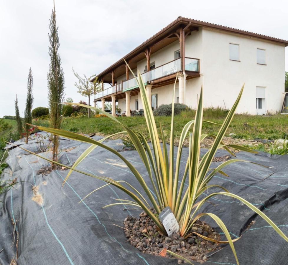 La Decouverte, Jacuzzi, Sauna, Et Terrasse Avec Vue Sur Lac A La Campagne Entre Toulouse Et Auch Catonvielle Eksteriør bilde